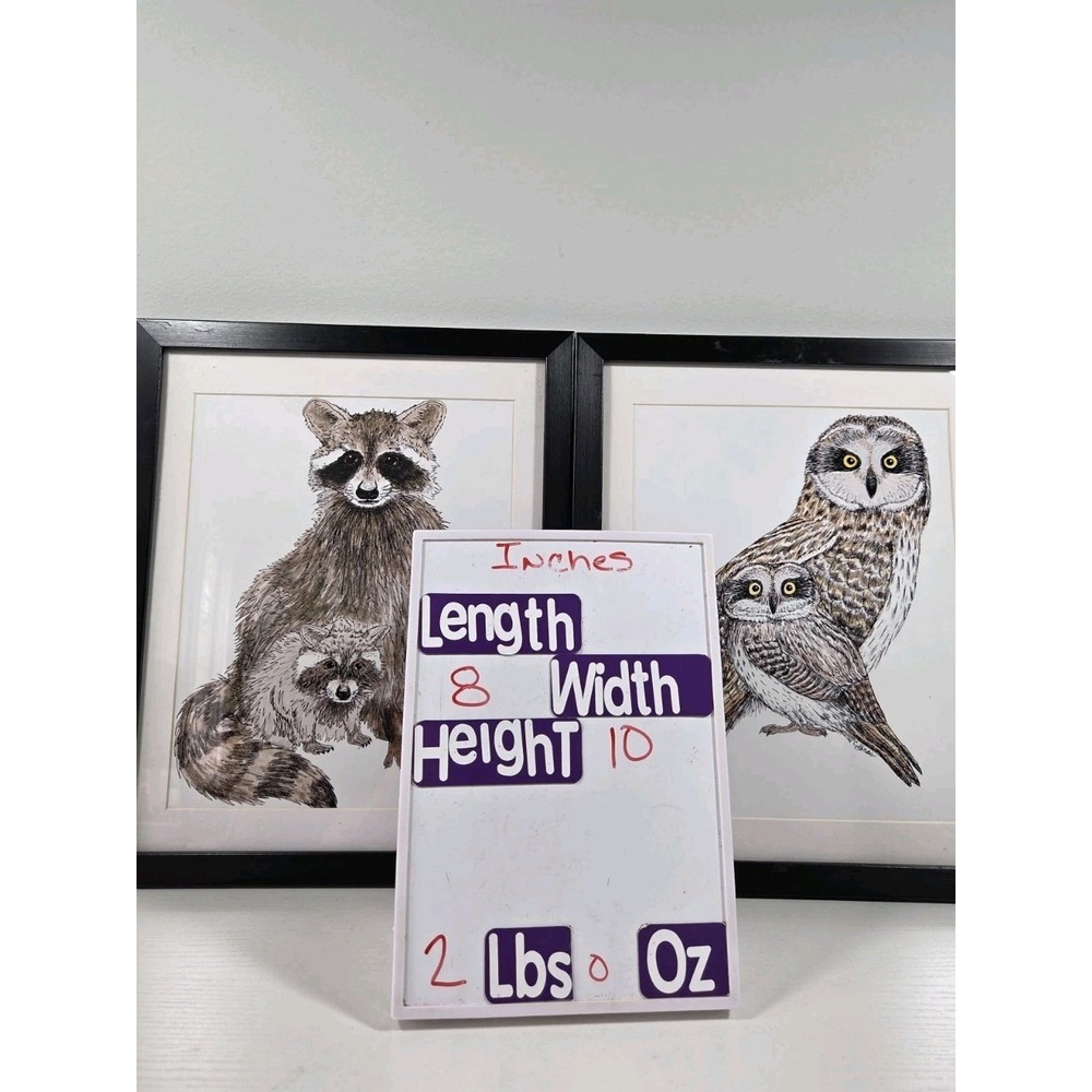 Pair of 8x10‎ Framed Art Prints Owls And Raccoons Signed Reproductions